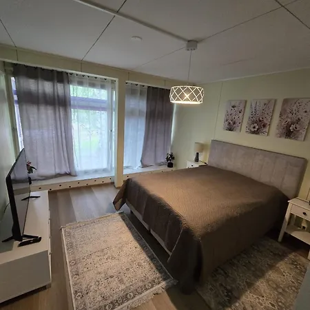 Revontulet Zohar Hazfoni Guest * Haukivuori